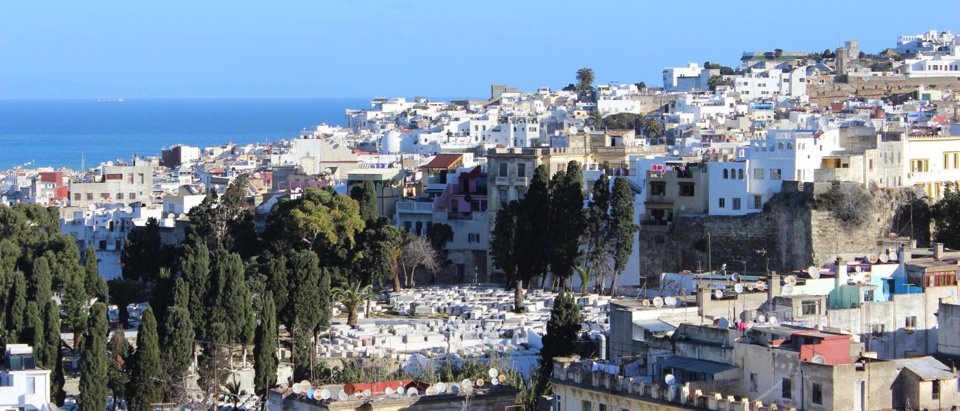 The historic downtown of 摩洛哥 photographed from a rooftop 